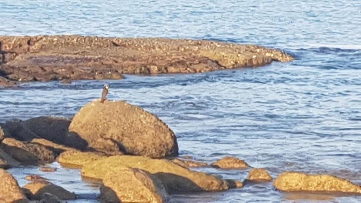 Recanto Maravista Apto Frente Mar 2 Quartos 2 Banheiros, Ar, Wi Fi, Piscina Villa Vila Velha  Kültér fotó